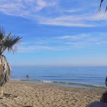 Uma praia de areia tranquila com céu azul claro e ondas calmas do oceano. Duas pessoas estão na água e as palmeiras emolduram a serena cena costeira.
