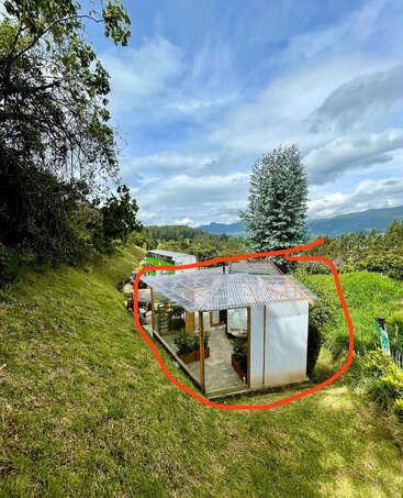 A small modern house with a transparent roof sits on a green hillside. It's surrounded by lush trees and mountains under a partly cloudy blue sky.