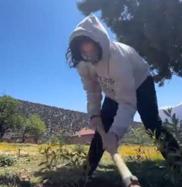 A person wearing a hooded sweatshirt is digging in a sunny garden surrounded by plants and trees, with mountains and a house visible in the background.