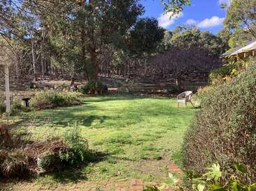 Um jardim ensolarado com grama verde, plantas espalhadas, uma única cadeira e árvores grandes ao fundo. Céu azul e nuvens fofas lá em cima, um clima tranquilo.