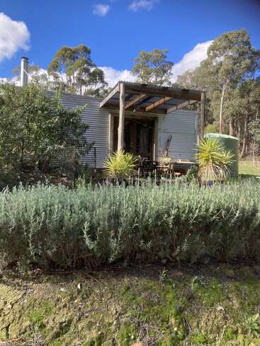 Uma cabana pequena e rústica com telhado de zinco, aninhada em meio a uma vegetação exuberante, cercada por arbustos e árvores, sob um céu azul brilhante com nuvens. Um cenário tranquilo.