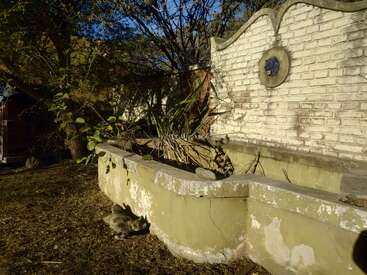 An old, weathered fountain stands against a brick wall, surrounded by dry vegetation. A gray cat rests in the sunlight, casting a shadow on the ground.