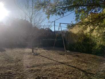 A sunlit backyard with dry grass, a leafless tree, a metal swing set, some greenery on the right, and a house partially visible in the background.