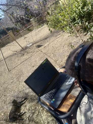 A person sits outdoors in a sunlit garden, working on a laptop with headphones on. A tabby cat relaxes nearby on the dry grass. Peaceful scene.