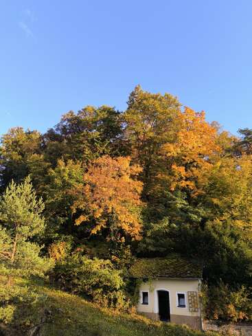 A small, charming house sits at the edge of a lush forest. The trees display vibrant autumn colors under a bright, clear blue sky.