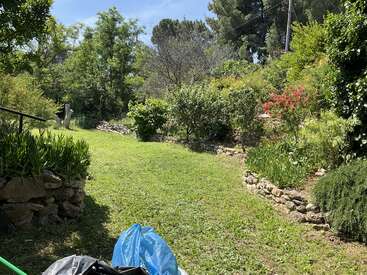 Un jardín soleado con césped verde y frondoso, parterres con bordes de piedra, arbustos en flor, rocas dispersas, bolsas de plástico y árboles altos que rodean el tranquilo y vibrante patio.