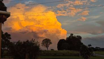 A vibrant orange cloud dominates the sky at sunset, casting a warm glow over trees, a grassy field, and silhouetted foliage in the peaceful landscape.