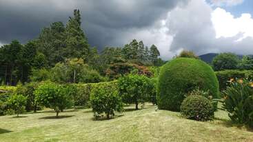 A vibrant garden with lush green trees, manicured bushes, and ornamental plants sits under a dramatic sky filled with dark, looming storm clouds above the forest.