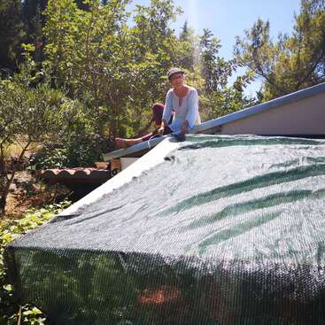 The image depicts a woman sitting on the edge of a roof, with a large green tarp covering the top of the roof, surrounded by trees and bushes.