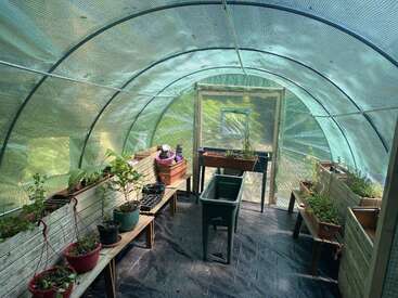 Un pequeño invernadero con un techo verde arqueado alberga bancos con macetas, herramientas de jardinería y bandejas, creando un entorno acogedor para el crecimiento de las plantas.