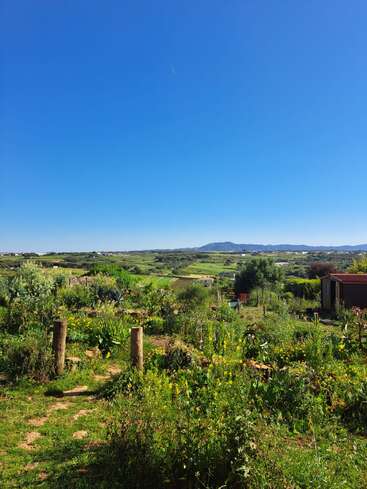 A lush green landscape features vibrant wildflowers, rustic wooden posts, a small shed, and distant rolling hills beneath a vast, clear blue sky. Peaceful countryside.