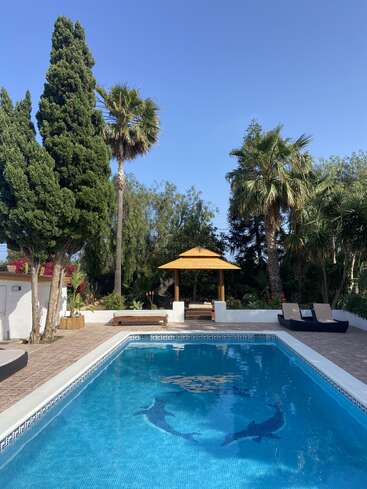 Une piscine sereine avec des mosaïques de dauphins, entourée de palmiers et de verdure. Deux chaises longues et un kiosque en bois créent une atmosphère extérieure relaxante et accueillante.