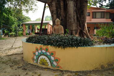 Una estatua de Buda está sentada bajo un gran árbol rodeado de vegetación. La maceta está pintada con un colorido diseño de lotos. En las inmediaciones se ven casas y árboles.