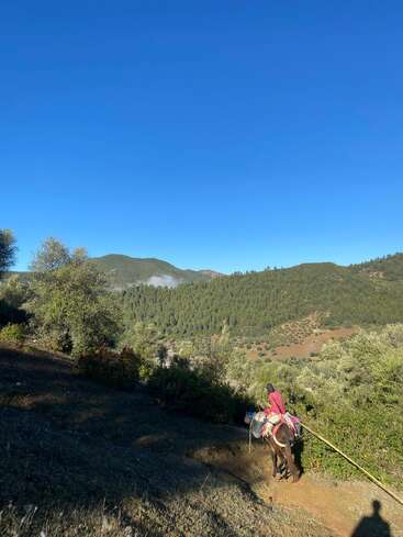 A person wearing a red garment rides a donkey down a dirt path in a hilly, green landscape under a wide, clear blue sky. Peaceful scenery.