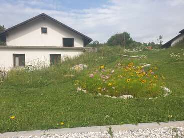Uma casa branca fica em uma colina gramada, cercada por flores silvestres e vegetação. Flores coloridas desabrocham em primeiro plano, com um céu azul acima.