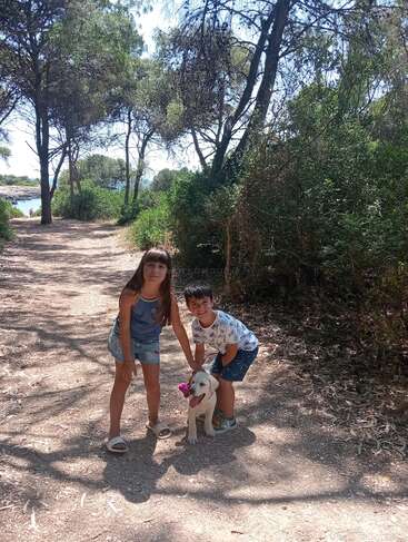 Deux enfants et un petit chien se tiennent sur un chemin forestier ensoleillé, entouré d'arbres et de verdure. La mer est visible à l'arrière-plan.