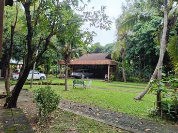 Ein üppiger grüner Garten mit Bäumen, einer Bank und einem Gehweg. Im Hintergrund befindet sich ein Carport mit Fahrzeugen und tropischer Vegetation, die den Bereich umgibt.