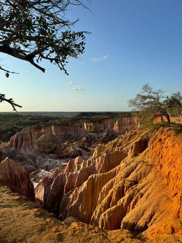 A luz dourada do sol ilumina as impressionantes formações rochosas vermelhas e alaranjadas. Árvores esparsas se agarram à borda, sob um céu azul claro, criando uma bela e dramática paisagem natural.
