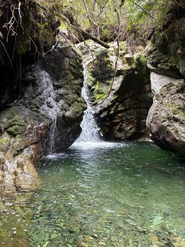 Uma cachoeira tranquila cai sobre rochas cobertas de musgo em uma piscina cristalina de cor esmeralda, cercada por uma vegetação exuberante e galhos pendentes em um ambiente florestal pacífico.