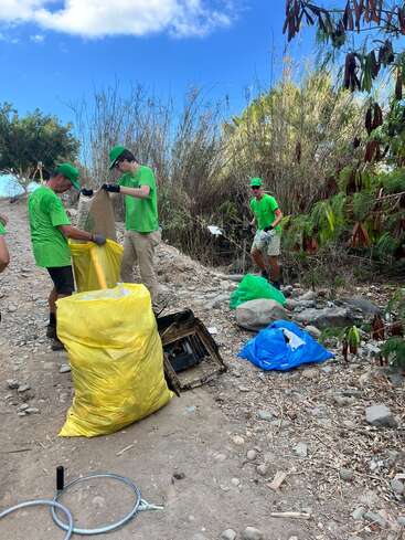 Três pessoas vestindo camisas e bonés verdes estão recolhendo o lixo e separando-o em grandes sacos amarelos e azuis durante uma limpeza comunitária em uma área natural.