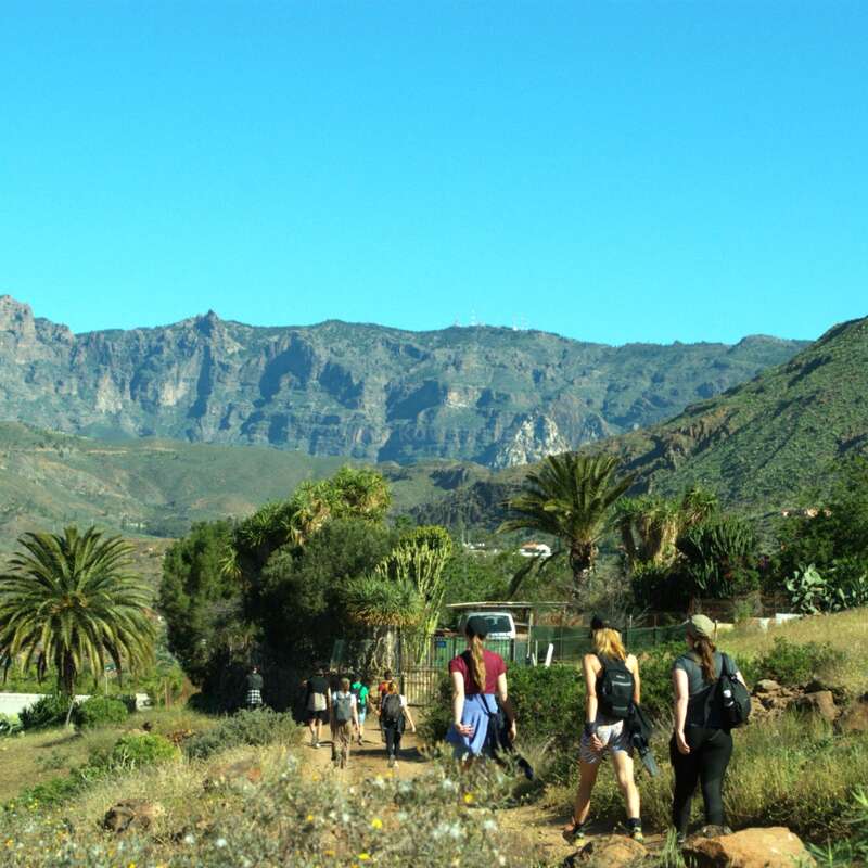 Eine Gruppe von Wanderern spaziert an einem sonnigen Tag unter strahlend blauem Himmel auf einem Feldweg, umgeben von Grün, Palmen und Bergen.