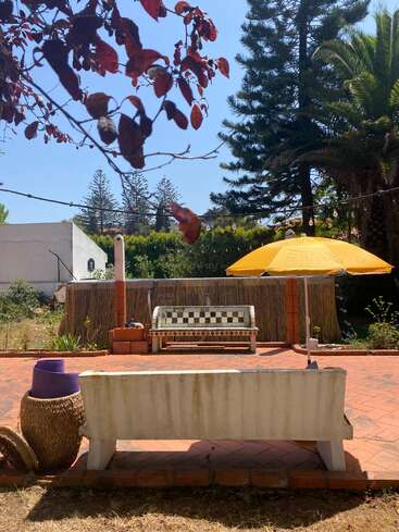 Una tranquila escena en el patio trasero con un banco de baldosas, una sombrilla amarilla, cestas tejidas, baldosas de terracota, exuberante vegetación y la luz del sol filtrándose entre las hojas rojas.