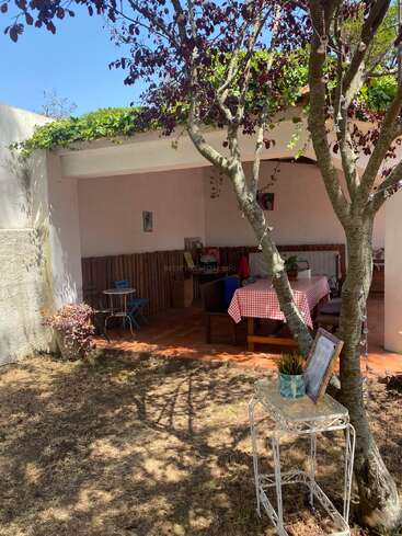Un acogedor patio al aire libre con un mantel a cuadros rojos, a la sombra de árboles y enredaderas. Mesa ornamental con planta, silla azul y decoración rústica en la pared.
