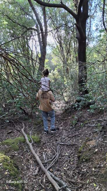 Um homem carrega uma criança em seus ombros enquanto caminha por uma floresta densa. A luz do sol passa por entre as árvores, destacando o ambiente natural e pacífico.