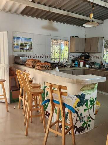 This cozy kitchen features wooden bar stools, a curved counter with plant-themed art, stacks of eggs, wall cabinets, a tiled backsplash, and a sunny window.