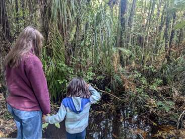 Una mujer y un niño se dan la mano, de pie al borde de un frondoso y verde bosque, mirando con curiosidad hacia la densa vegetación y las aguas poco profundas.