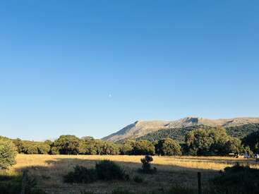 Un paysage serein composé d'un champ éclairé par le soleil, d'arbres épars et de montagnes lointaines sous un ciel bleu clair. La petite lune est visible au-dessus de l'horizon.