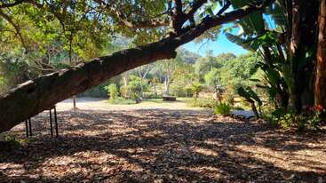 A sunlit garden scene with a large, leaning tree in the foreground, leafy ground, various plants, and distant benches, surrounded by lush greenery and hills.