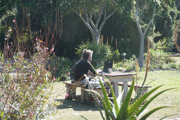 A person sits at a rustic wooden table outdoors, working on a laptop. Surrounded by lush greenery and trees, it's a peaceful, sunny garden scene.