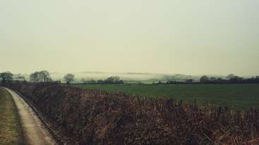 L'image représente un paysage serein avec un champ herbeux, une route sinueuse et quelques arbres, évoquant un sentiment de tranquillité et de paix. Le ciel n'est pas visible sur l'image.
