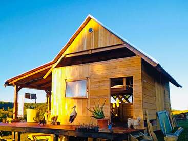 A small wooden cabin sits under a clear blue sky, surrounded by greenery. Animals, potted plants, and sunlight decorate the porch, creating a cozy, rustic atmosphere.