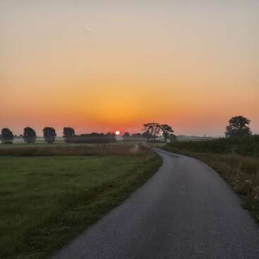Una estrecha carretera serpentea a través de verdes campos hacia el horizonte, donde el sol se pone tras las siluetas de los árboles, iluminando el cielo con cálidos tonos anaranjados. Una escena tranquila.