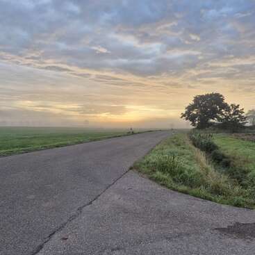 Una tranquila carretera rural se curva a través de verdes campos al amanecer. Una suave niebla cubre el paisaje, mientras nubes dramáticas llenan el cielo y un árbol solitario se yergue cerca.