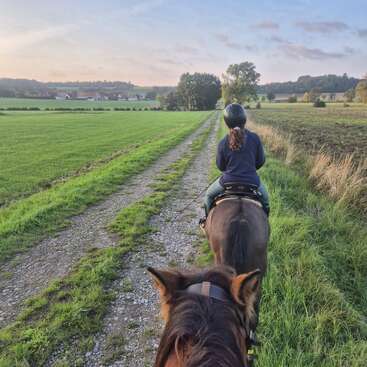 Una persona monta a caballo por un camino rural cubierto de hierba al amanecer, mientras otro caballo le sigue. Los campos abiertos y los árboles lejanos crean una escena apacible.