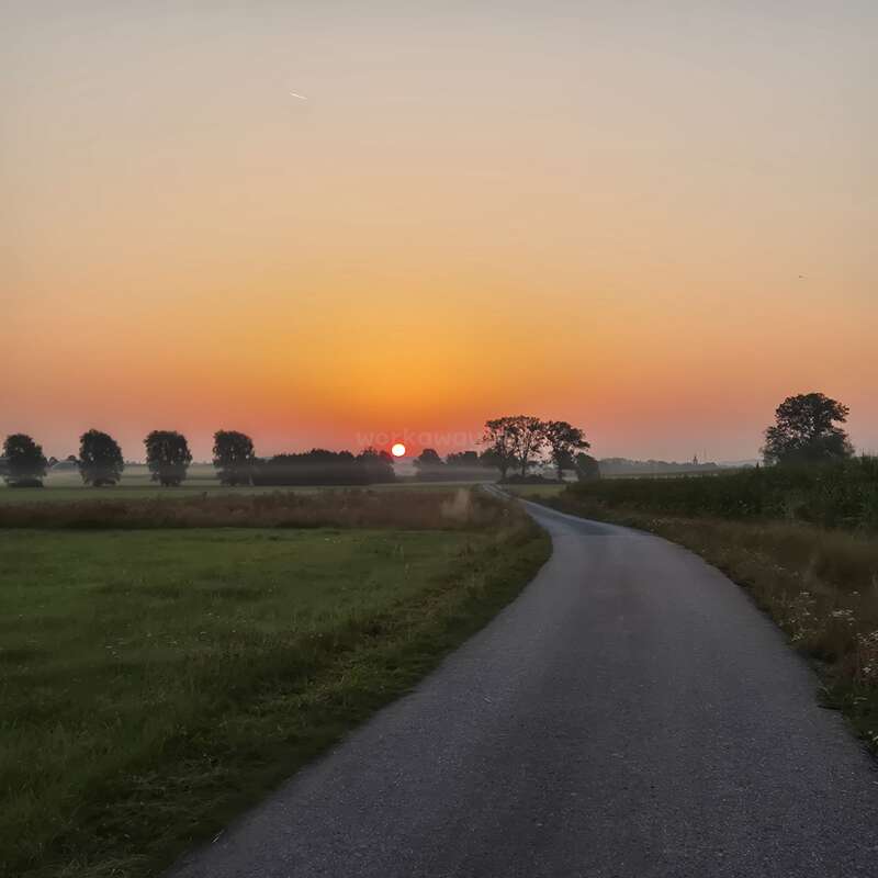 Una estrecha carretera serpentea a través de verdes campos hacia el horizonte, donde el sol se pone tras las siluetas de los árboles, iluminando el cielo con cálidos tonos anaranjados. Una escena tranquila.