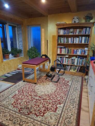 A cozy study room with a large patterned rug, bookshelves filled with books, a massage table, exercise equipment, potted plants, and a Stormtrooper helmet.