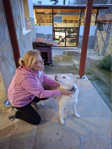 A woman in a pink hoodie kneels on a stone patio, affectionately petting and interacting with a white dog. The scene is cozy and warm.