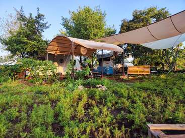 Ein üppiger, grüner Garten mit verschiedenen Pflanzen umgibt einen gemütlichen Sitzbereich im Freien unter großen Vordächern. Die Bäume spenden zusätzlichen Schatten und sorgen für eine ruhige Atmosphäre.