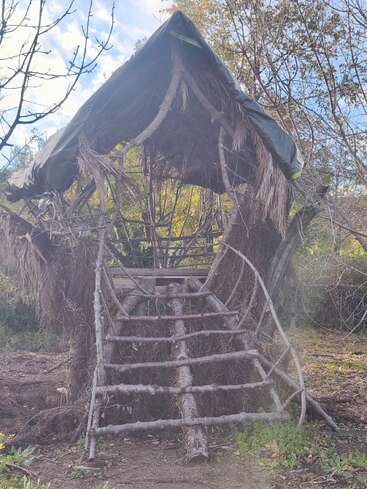 A rustic treehouse made with sticks, branches, and palm leaves stands in a wooded area. It has a pitched roof and ladder made of logs.
