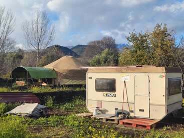 A beige caravan sits on wooden pallets in a grassy area, with a yurt and green tent nearby. Trees and mountains form the scenic background.
