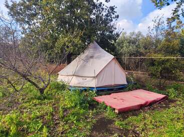 In the image, a beige canvas tent stands on blue pallets in a green, grassy area surrounded by trees, with two red mattresses lying nearby.