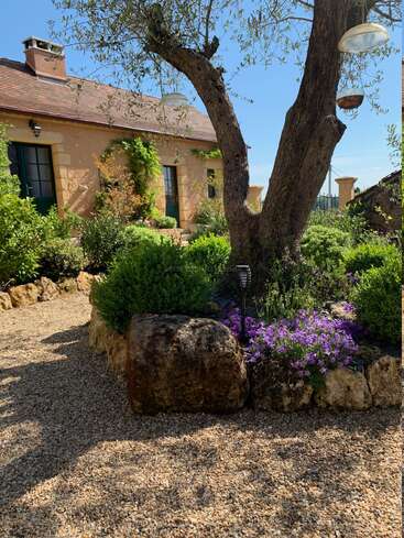Un charmant cottage en pierre avec des portes vertes se trouve derrière un jardin luxuriant comprenant un vieil arbre, des fleurs violettes, des rochers, une allée en gravier et un soleil radieux.