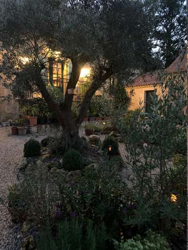Un jardin serein, faiblement éclairé, présente un grand arbre central, entouré d'arbustes, de plantes en pot et d'allées en gravier. Une charmante maison est éclairée par des lumières chaudes.