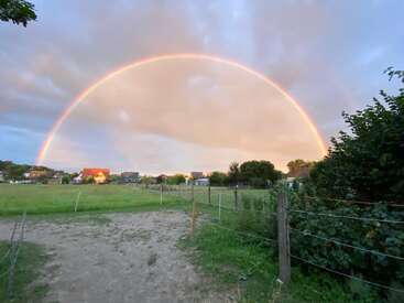 Ein leuchtender Regenbogen spannt sich über den bewölkten Himmel über grünen Feldern und Häusern. Holzzäune säumen einen Feldweg. Die friedliche Landschaft wirkt wie verzaubert.