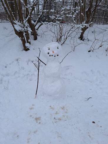 Ein kleiner Schneemann steht auf einer verschneiten Waldlichtung, mit Stöckchen als Armen, einer Karottennase, Steinaugen und einem Steinmund, umgeben von Bäumen und unberührtem Schnee.