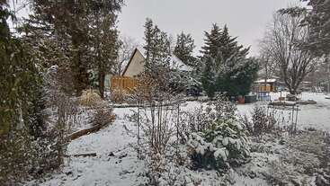 A snowy garden scene with trees, bushes, and various plants covered in snow. A cozy house and wooden fence are visible in the background, evoking winter tranquility.